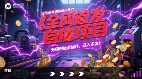 全网首发，2025年最新稳定暴力全自动自撸项目，无限制批量操作，日入多张【揭秘】-九零网创
