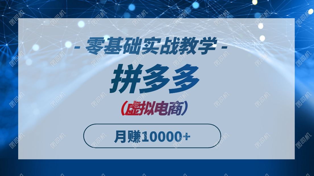 拼多多虚拟电商，零基础实战教学，快速打爆商品，新手也能月入10000+-九零网创
