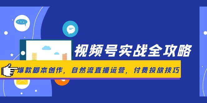 视频号实战全攻略，爆款脚本创作，自然流直播运营，付费投放技巧-九零网创