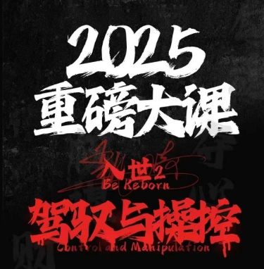 2025重磅大课，入世2，驾驭与控制-九零网创