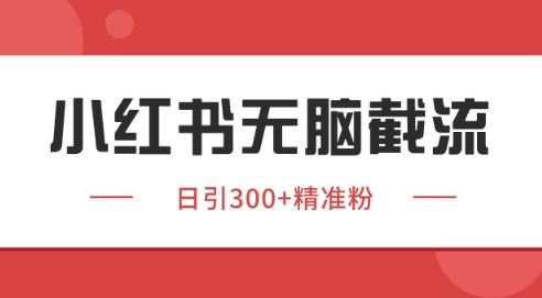 小红书截流同行客源，独家野路子获客玩法 日引200+暴力获客【揭秘】-九零网创
