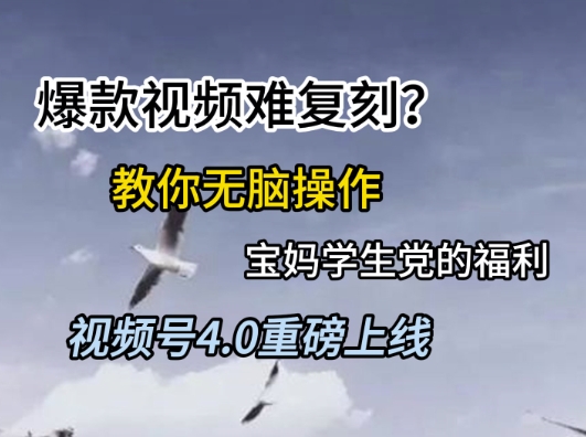 视频号4.0重磅上线，爆款视频难复刻？教你无脑操作宝妈学生党的福利【揭秘】-九零网创
