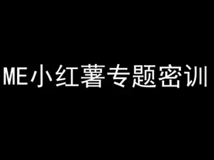 ME小红薯专题密训-小红书电商教程-九零网创