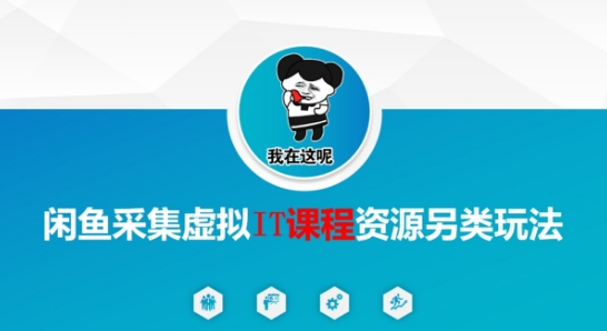 闲鱼采集虚拟IT课程资源另类玩法，干货满满-九零网创
