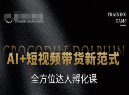 AI+短视频带货新范式，全方位达人孵化课-九零网创