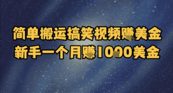 简单搬运搞笑视频挣美金，新手一个月入1k美金-九零网创