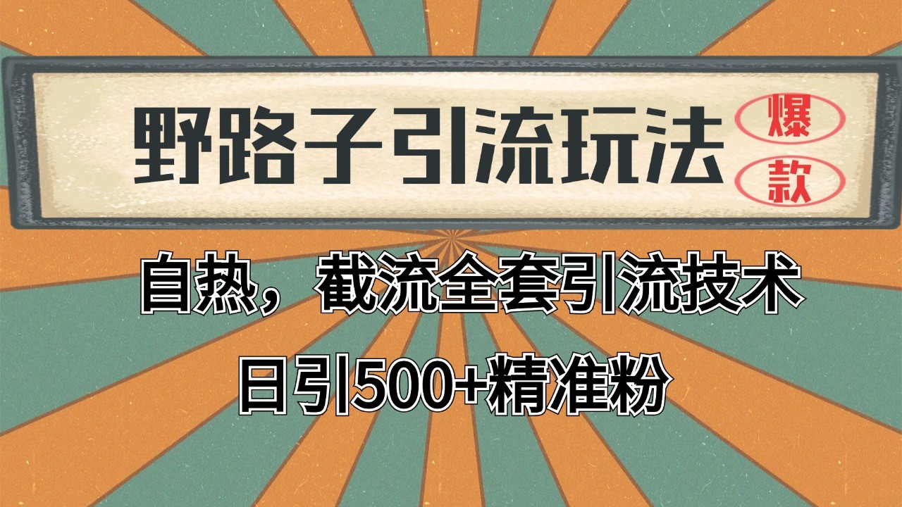 2024首发野路子引流玩法截流自热全平台打法，全自动引流【日引2000+精准客户】-九零网创