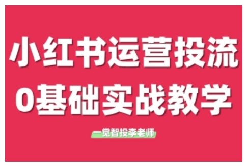 小红书运营投流，小红书广告投放从0到1的实战课，学完即可开始投放(更新)-九零网创