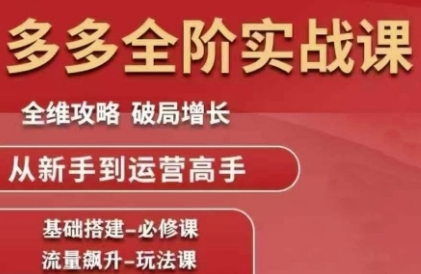 拼多多全阶实战课程，全维攻略，破局增长，从新手到运营高手-九零网创