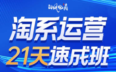 白凤电商·淘系运营21天速成班(更新6月)-九零网创