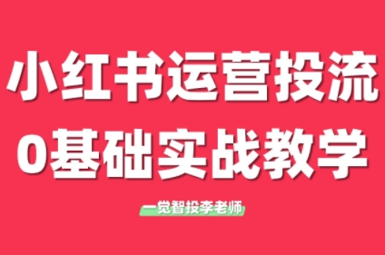 李老师·小红书运营投流，0基础实战教学(更新)-九零网创