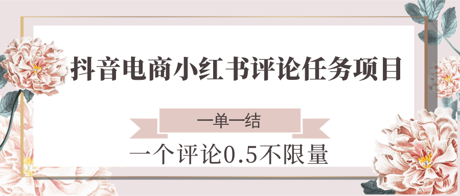 抖音电商小红书评论任务项目，一个评论0.5，一单一结 不限量-九零网创