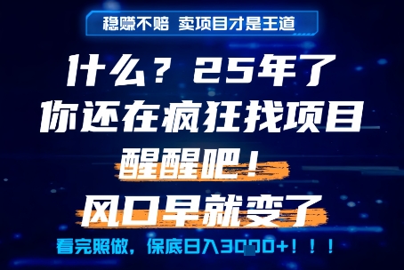 什么？25年你还在疯狂找项目做，醒醒吧，看完这些你全都懂了！【揭秘】-九零网创