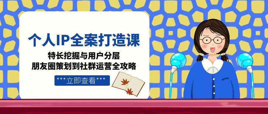 个人IP全案打造课，特长挖掘与用户分层，朋友圈策划到社群运营全攻略-九零网创