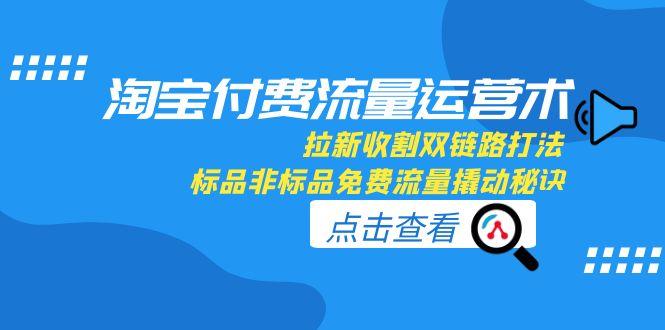 淘宝付费流量运营术，拉新收割双链路打法，标品非标品免费流量撬动秘诀-九零网创