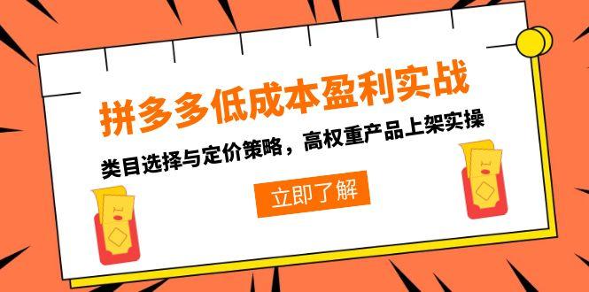拼多多低成本盈利实战，类目选择与定价策略，高权重产品上架实操-九零网创