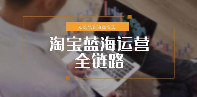淘宝蓝海运营全链路，从选品到流量变现，小类目突围完整方案-九零网创