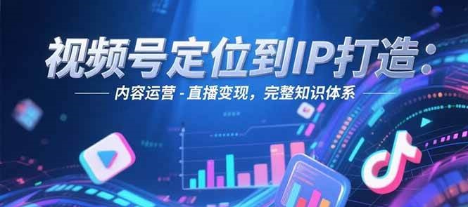 视频号定位到IP打造：账号搭建-内容运营-直播变现，完整知识体系-九零网创