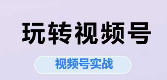 玩转视频号，视频号实战系列课-九零网创