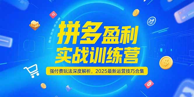 拼多多盈利实战训练营，强付费玩法深度解析，2025运营技巧合集-更新6月-九零网创