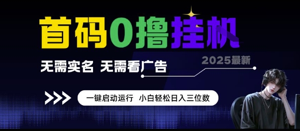 首码0撸挂G项目，无需实名无需看广告 一键启动运行，小白轻松日入三位数【揭秘】-九零网创