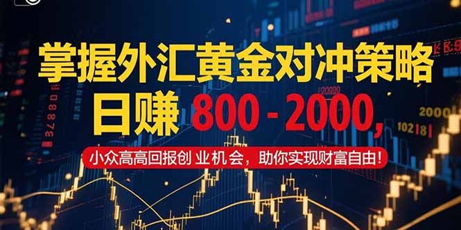 掌握外汇黄金对冲策略，日赚 800 – 2000，小众高回报创业机会，助你实…-九零网创