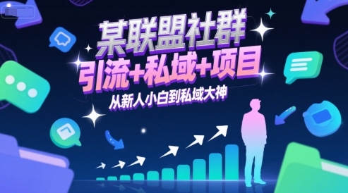 某联盟社群，引流+私域+项目，从新人小白到私域大神-九零网创