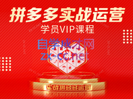 推易电商·拼多多实战运营课(更新2025月)-九零网创