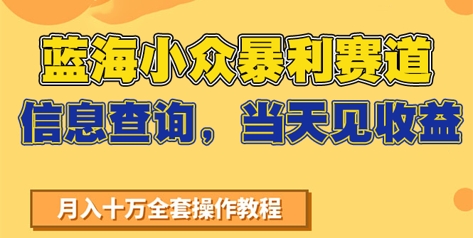 蓝海小众暴利赛道，信息查询，当天见收益，不讲玄学，7天搞了2万+-九零网创