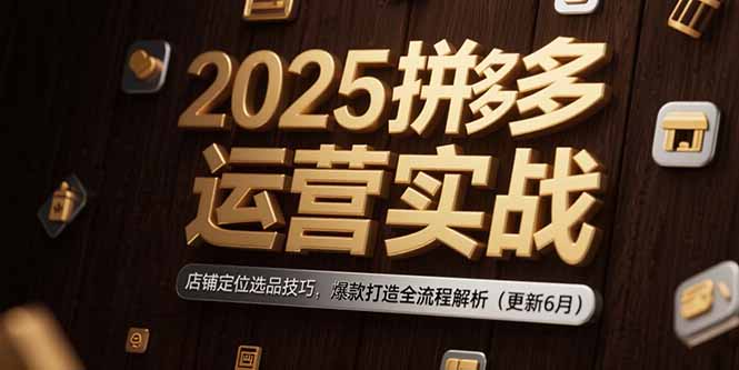 2025拼多多运营实战：店铺定位选品技巧，爆款打造全流程解析(更新6月-九零网创