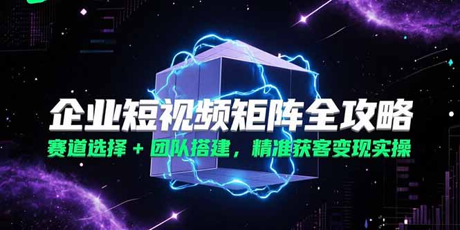 企业短视频矩阵全攻略，赛道选择+团队搭建，精准获客变现实操-九零网创