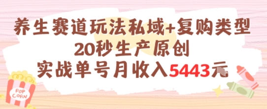 养生赛道玩法私域+复购类型，20秒生产原创实战单号月收入5k+-九零网创