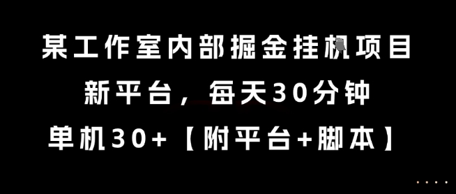 某工作室内部掘金挂G项目，新平台，每天30分钟，单机30+【揭秘】-九零网创