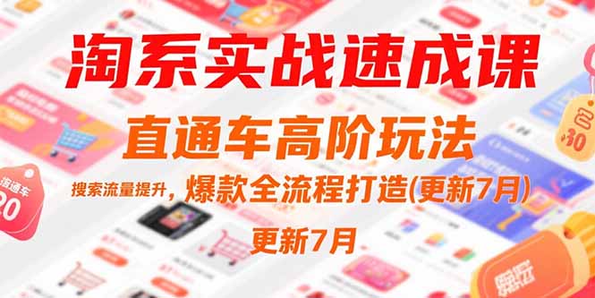 淘系实战速成课，直通车高阶玩法，搜索流量提升，爆款全流程打造(更新7月-九零网创