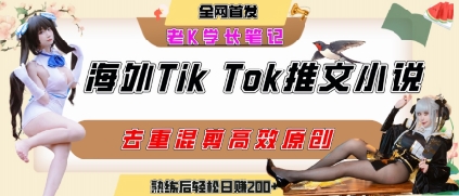 海外tiktok小说推文暴力项目，高停留率，高转化率，上手后一天搞顿饭钱不是问题-九零网创