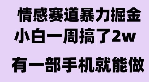 情感暴力掘金项目，新人操作一周挣了2W，长期稳定小白可做【揭秘】-九零网创