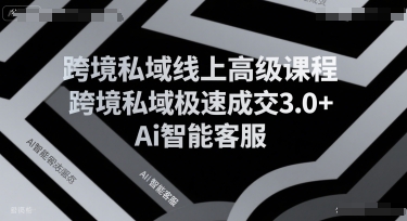 跨境私域线上高级课程，跨境私域极速成交3.0+Ai智能客服-九零网创