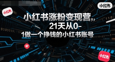 小红书涨粉变现营，21天从0-1做一个挣钱的小红书账号-九零网创