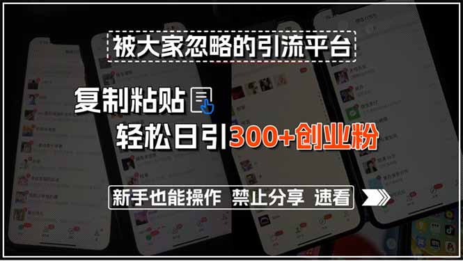 被大家忽略的引流平台，复制粘贴轻松日引300+创业粉，新手也能操作，禁…-九零网创