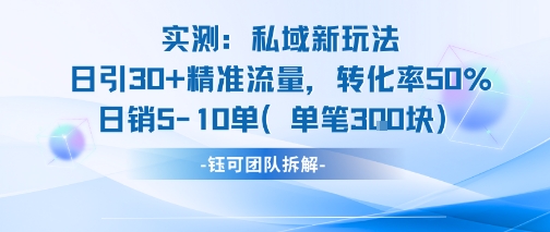 实测私域新玩法日引30加精准流量转化率50%日销5-10单每笔3张-九零网创