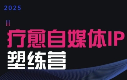 2025治愈自媒体IP训练营，专为疗愈领域从业者打造-九零网创