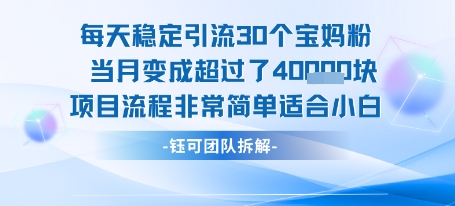 每天稳定引流30个人 当月变成超过了4个W项目流程非常简单适合小白-九零网创