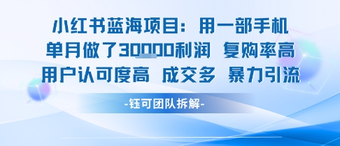 小红书蓝海项目，一部手机单月做了3W利润，小白也能月入过1W用户认可度高成交多-九零网创