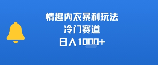 情趣内衣暴利玩法，冷门赛道，日入1k+-九零网创