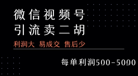 视频号卖二胡教程，利润大 易成交 售后少，一单利润5张+-九零网创