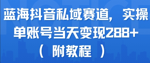 蓝海抖音私域赛道，实操单账号当天变现288+(附教程)-九零网创
