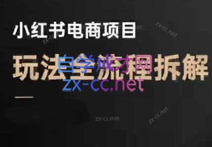 菲菲老师·小红书电商玩法(更新7月)-九零网创