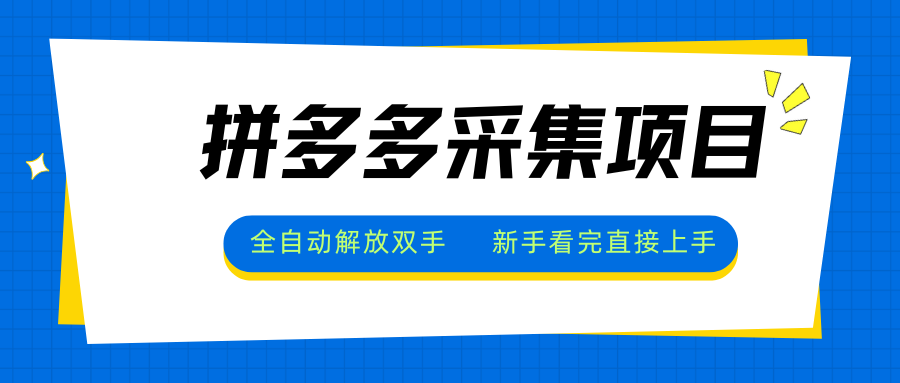 拼多多采集项目，全自动解放双手，单号日入30+-九零网创