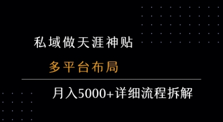 私域做天涯神贴 多平台布局 月入5k+详细流程拆解-九零网创
