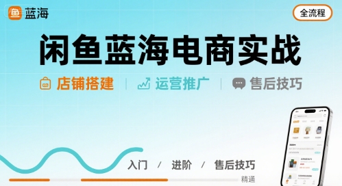 闲鱼蓝海电商实战，店铺搭建运营售后全流程-九零网创